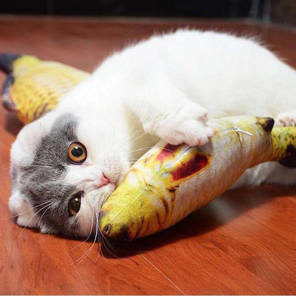 Cat Fish Cat Kick Body Stuffed Obesity Stress Nail Teeth 2 Piece Cat Supplies Toy, Shape, Toy, Fish, Toy, Pillow, Animal, Taiyaki, Play, Relief,