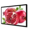 Richmu Wall-Mounted Touch Screen All-in-One Digital Display (CN Version)