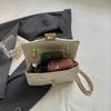 Women's 2026 Summer Korean Style Chain Small Crossbody Bag