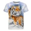 T-shirts e tops – T-Shirts