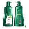 100 Year Runfa Purifying Oil Control Conditioning Shampoo