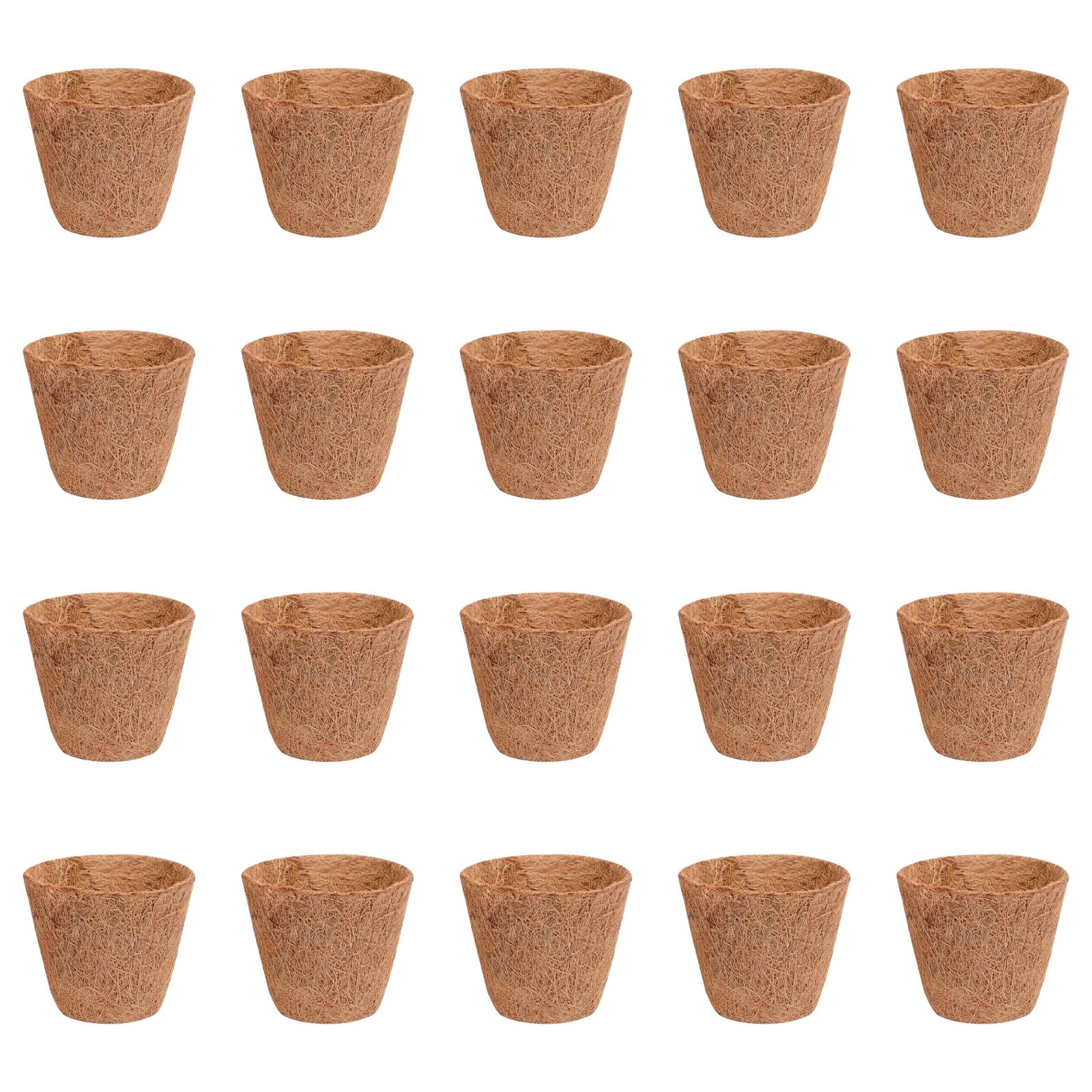 20 Biodegradable Coconut Coir Plant Containers for Blueberry Plants Supporting Organic Gardening and Root Vitality