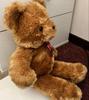 [USED] Brown Bear Teddy Bear, Large Size