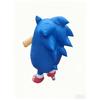 Game Character Sonic Cartoon Protagonist Inflatable Suit Halloween Cosplay Birthday and Halloween Party Inflatable Dress Up