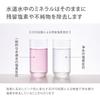 Takagi Water Purifier Bottle, 500ml, Made In Japan, Dishwasher Safe, Easy To Clean, PFOS/PFOA Removal Tested, Lightweight, Gray, Includes 1 Cartridge,