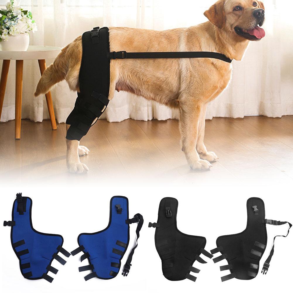 Knee Hip Joint Protector Dog Leg Support Brace Wound Recovery Prevent Injuries Canine Ligament Rehabilitation Accessory