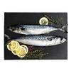Macrou Norvegian Congelat (Aproximativ. 1 kg)