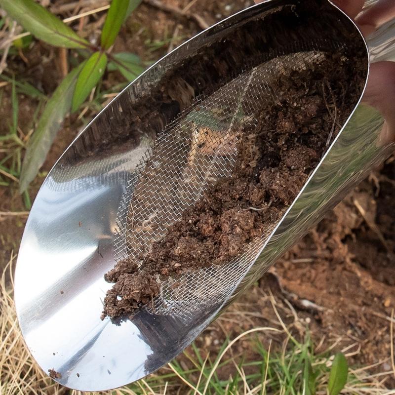 3er-Pack Edelstahl-Gartenschaufeln zum Filtern von Erde, Umtopfen und Pflanzen von Sukkulenten und Blumen