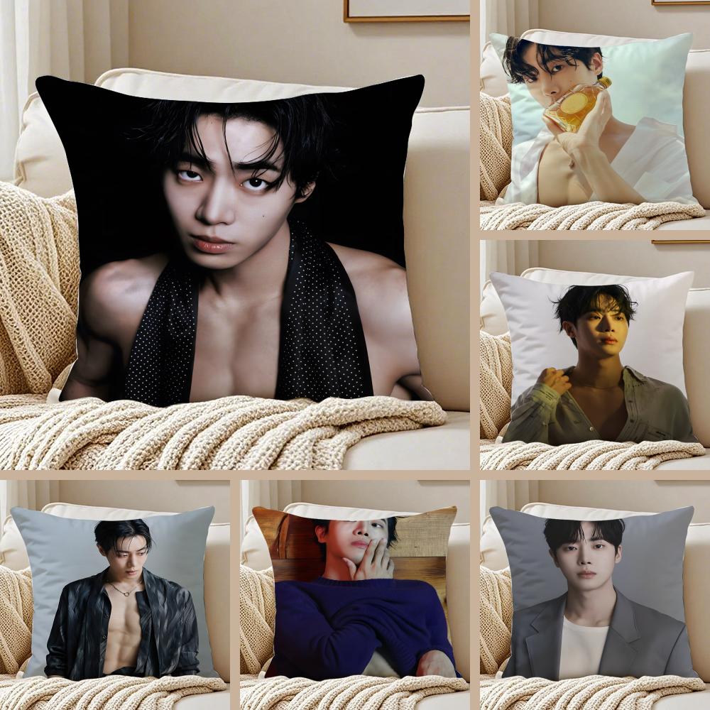 POP Korea CChoo YoungWoo Cushion Cover Pillowcase Antidustmite Invisible Zipper Short Plush Sofa Cushion