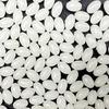 1000pcs Oval Fishing Beads Glow In the Dark Green Fishing Beads Luminous Bead Stopper Fishing Accessories