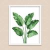 Bohemian Watercolor Tropical Plant Canvas Painting Monstera Banana Leaf Eucalyptus and Fern Art Posters Aesthetic Bedroom Decor