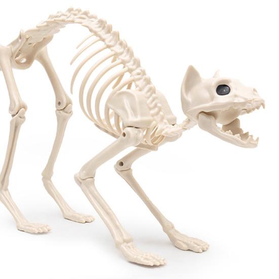 Halloweenská dekorace kočky kostry Hororová plastová kostra koťátka Kostní dekorace s pohyblivou čelistí Krk Ocas pro Halloweenskou párty Domácí dvorní dekorace