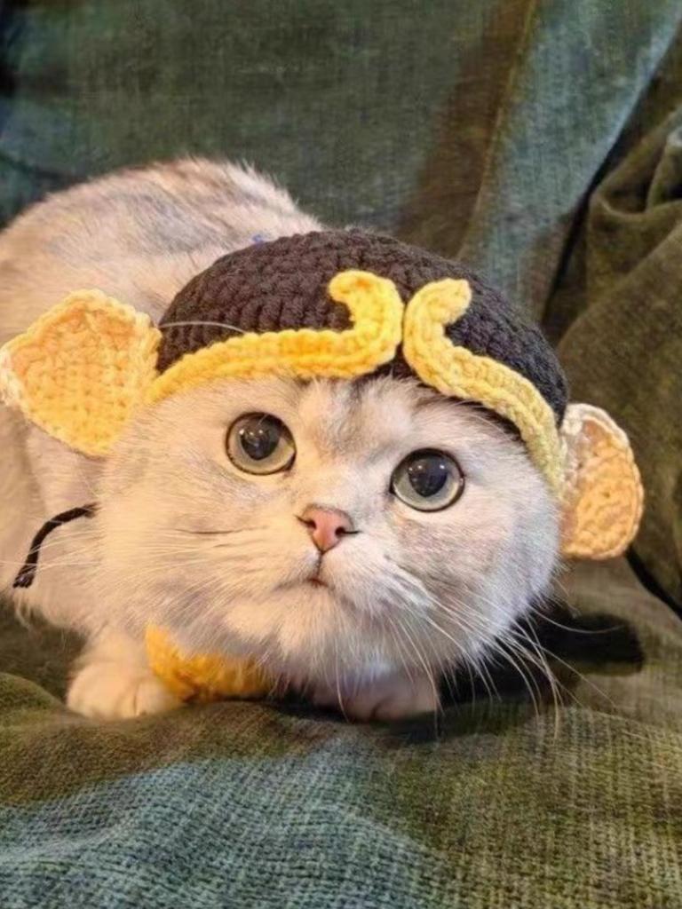 Hand Hook Knitted Pet Knitted Headset Pet Cosplay Props Headwear Funny Transformation Dress Cartoon Animal Flower Hat