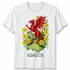 St Davids Day Welsh Flag Dragon Daffodil Wales Festival T Shirt Unisexs Kids Unisex