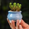 6 Stück/Set Bunte Mini-Blumentöpfe Sukkulenten-Pflanztopf Keramik-Pflanzgefäß Schreibtischschmuck Heimdekor
