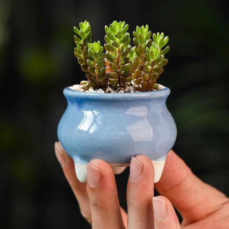 6 Stück/Set Bunte Mini-Blumentöpfe Sukkulenten-Pflanztopf Keramik-Pflanzgefäß Schreibtischschmuck Heimdekor