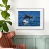 Leaping Dolphins Wall Pictures Canvas Painting Wall Art Natural Sea Life Posters and Prints for Living Room Home Decor Mural
