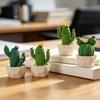 Mini Plantas de Cactus Artificiales en Macetas, Cactus Compactos Falsos Decorativos en Maceta, Pequeña Planta Decorativa de Resina para Decoración de Mesa de Oficina en Casa Estantería