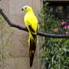 25/35 Cm Lifelike Simulation Bird Feather Bird Parrot Fake Bird Decoration Home Garden Home Decoration Props