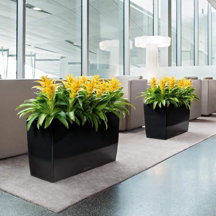 Lechuza jardinière cararo premium - 75 x 30 x 42,5 cm - kit complet - anthracite métallisé