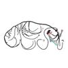 Engine Standalone Harness Drive By Wire Stand Alone Wiring Harness for T56 Non Electric Tran 4.8 5.3 6.0 DBW LS3 2003
