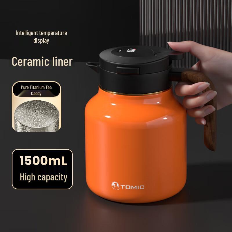 Temake Ceramic Lined Insulated Tea Pot