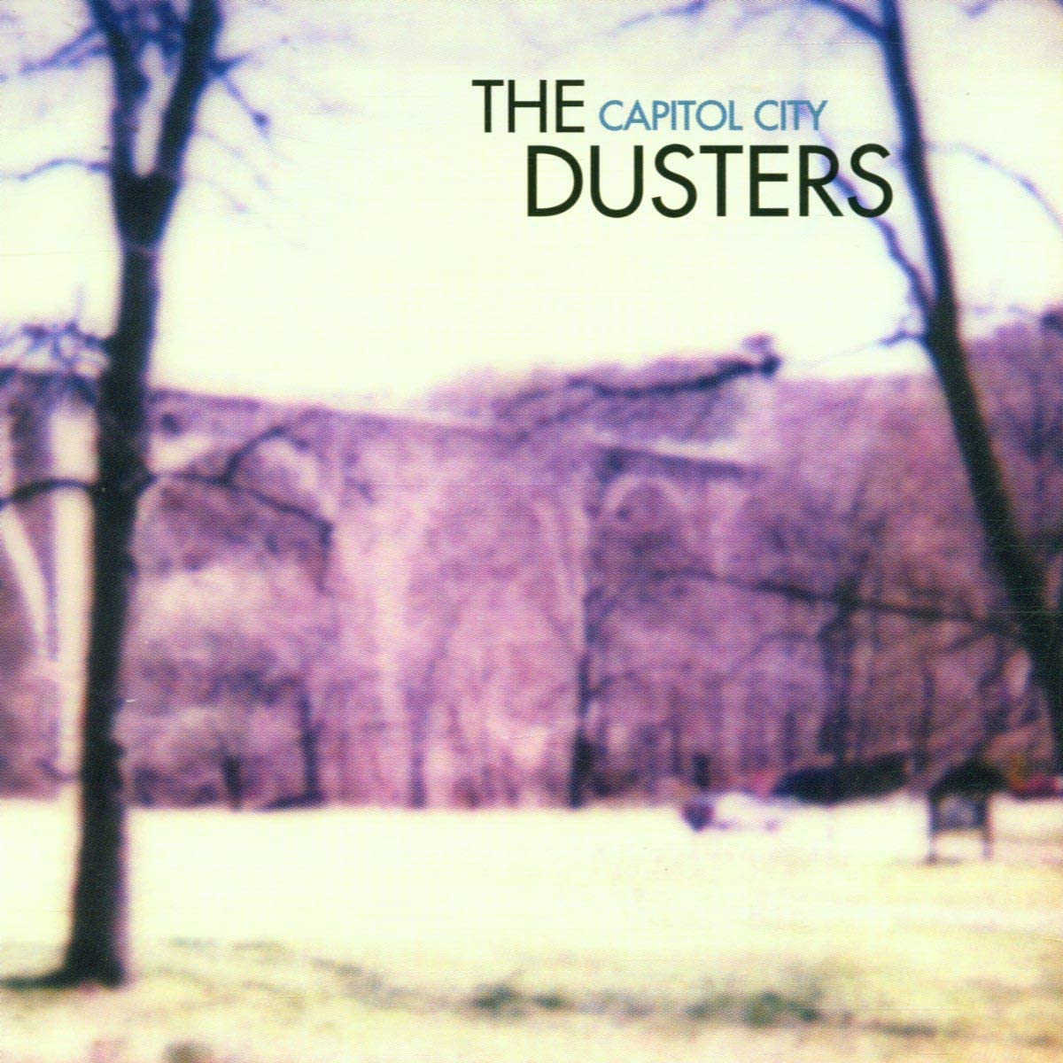 

CD CAPITOL CITY DUSTERS - Rock Creek DIS127CD Dischord Record 2002 US Рок Б/У