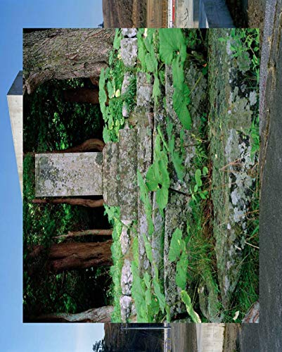 Tohoku Lost, Left, Found Tsuyoshi Yamagishi photo book ((LIXIL Publishing))