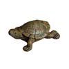 Micro Landscape Simulation Turtle Ornaments: New Garden & Balcony Decor for Succulent Plants