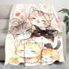 1PC Cute cat, cartoon blanket, all season lightweight home office outdoor nap multifunctional blanket