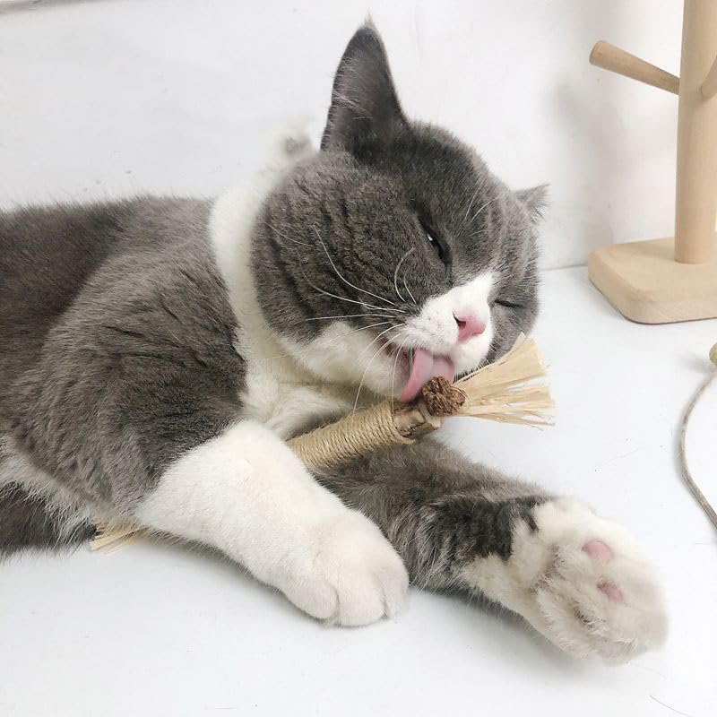 Pet Supplies, Pet Toys, Cat Toys, Cat Teeth Grinding Stick, Cat Chew Toy, Natural Wood, Stress Relief, Obesity, Teeth Cleaning Stick,