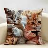 Cute Cat Holding Phone Cushion Cover Natural Linen Organic Fabric DoubleSided Printing Room Sofa Decor Pillow Case