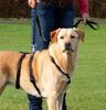 Trixie Hundegeschirr Größe M 50-/ , Schnallenverschluss