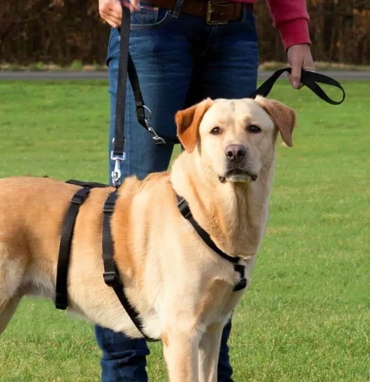 Trixie Hundegeschirr Größe M 50-/ , Schnallenverschluss