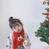 Outdoor Scarf Autumn Winter Windproof Apparel Accessories Cartoon Scarf Christmas Scarf Kids Scarf
