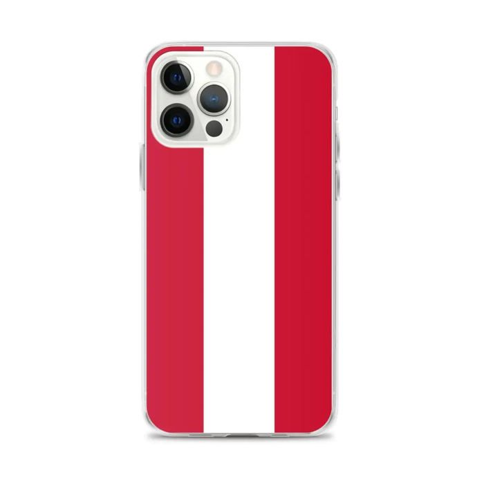 Offizielle Handyhülle Flagge Österreich - iPhone 12 Pro Max