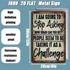 2D Metal Wall Art Vintage Sarcastic Humor Plaque Home Decor Challenge Sign