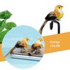 12pcs Small Fake Birds for Crafts,   Bird Figures Cute Animal Model  Ature Bird Figurines Tiny Bird Figurines Tree Binding Artificial Bird Decor