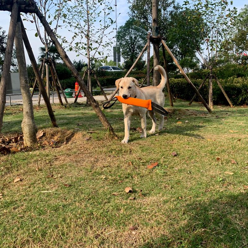 Training Dog Bite Stick Pet Tug Of War Interactive Toy Dog Teeth Grinding Durable Toy Pet Outdoor Training Supplies