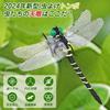 Ruokey Oniyanma Insect Repellent, 2 Dragonflies, 12cm, Realistic Dragonfly Repellent, Pest Repellent, Realistic Dragonfly Repellent, Comes with Strap