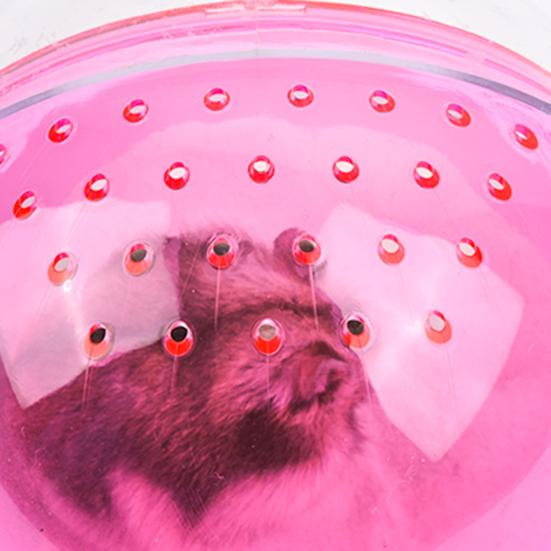 Hamster Bathroom Spherical Shape Dust-proof Plastic Small Animal Bath Sand Room Pet Supplies
