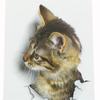 Cute Cat Wall Sticker For Living Room Bedroom Cupboard Toilet Decoration