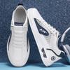 Mesh Men's Shoes Summer 2025 New Board Shoes Student Casual Little White Shoes Youth Breathable Flat-bottomed Trendy Shoes Men's