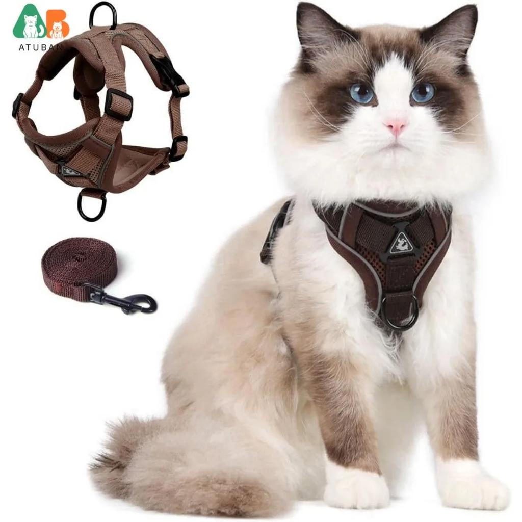 Ensemble Harnais et Laisse pour Chat de Petite à Grande Taille Harnais Gilet Réglable pour Chat Bordure Réfléchissante Laisse et Harnais Universels pour Chat