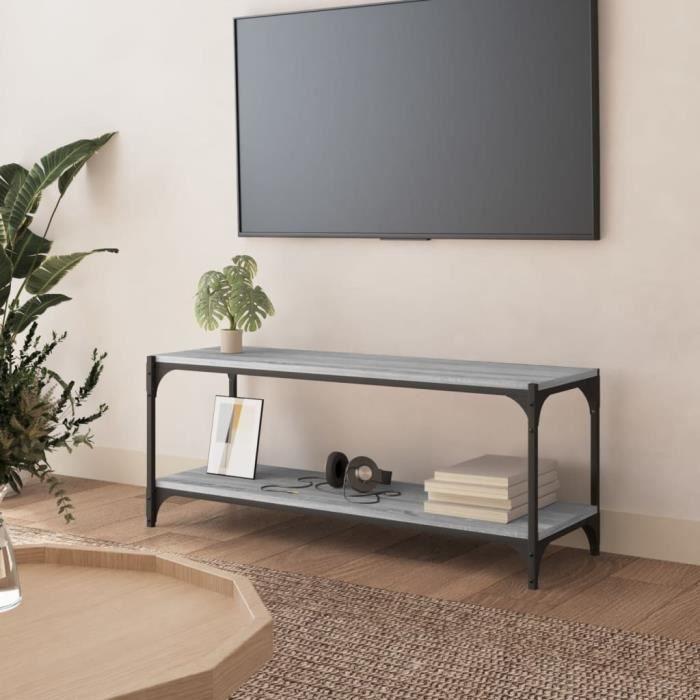 819350 vidaXL Meuble TV Sonoma gris 100x33x41 cm Bois d'ingénierie et acier