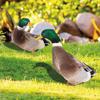 Duck Decor Realistic Life-like Ornamental Double-sided Printing Rustic Acrylic Garden Poultry Statue for Yard