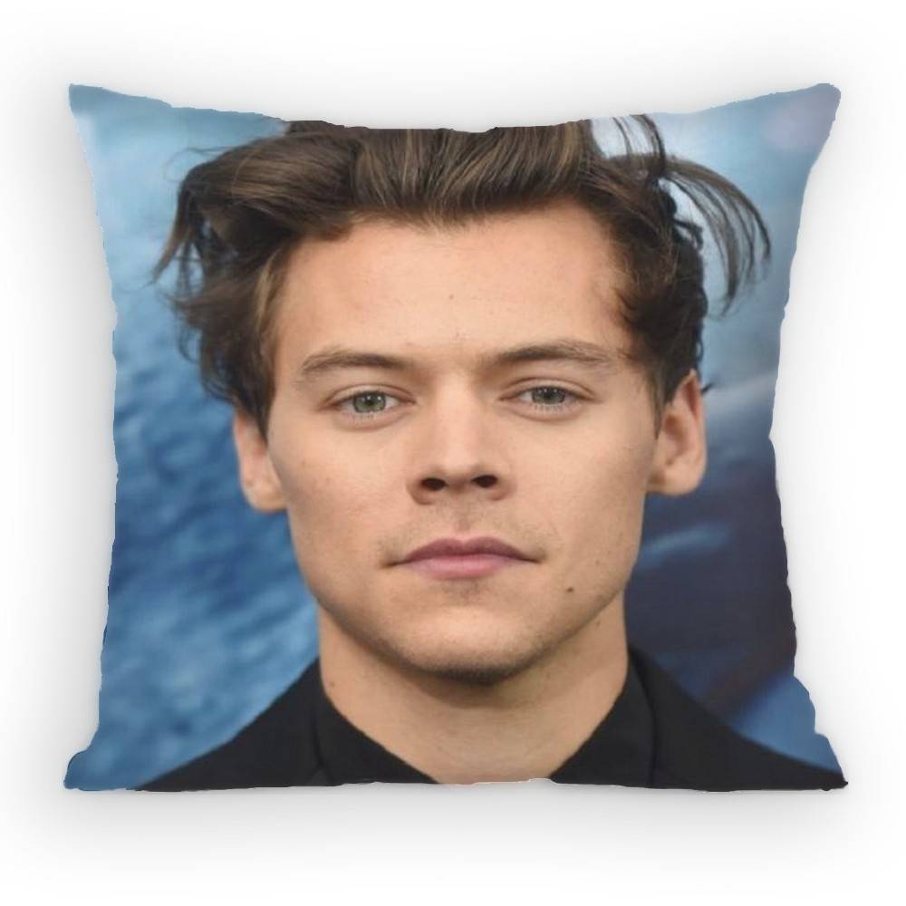 HHaRRyS Singer SStyles Pillow Case Antidustmite Pillowcase Invisible zipper silky short plush Sofa cushion cover