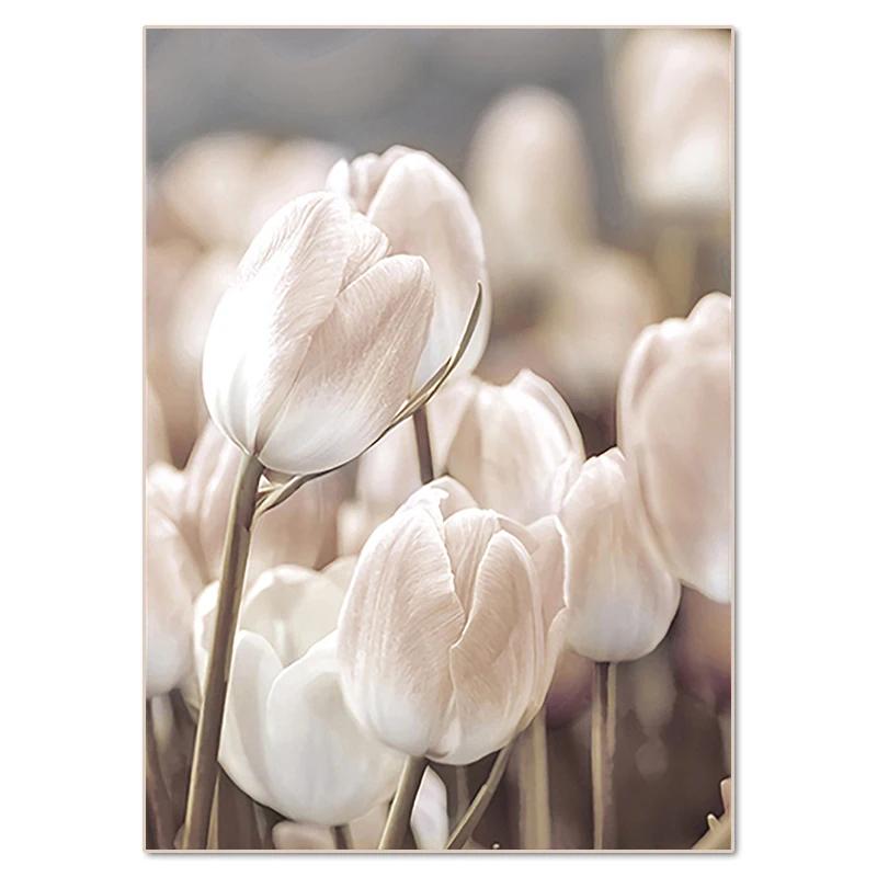 

Озеро, пляжный пейзаж, алмазная живопись, настенное искусство, богемный тростниковый цветок, плакат, мозаика, инкрустация, алмазная вышивка, сделай сам, украшение дома 30x40cm No Framed