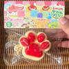 Fluffy Cat Paw Squeeze Fidget Toy Fuzzy Super Soft Stress Relief Toy for Kids Adults Office Work Anxiety Relief