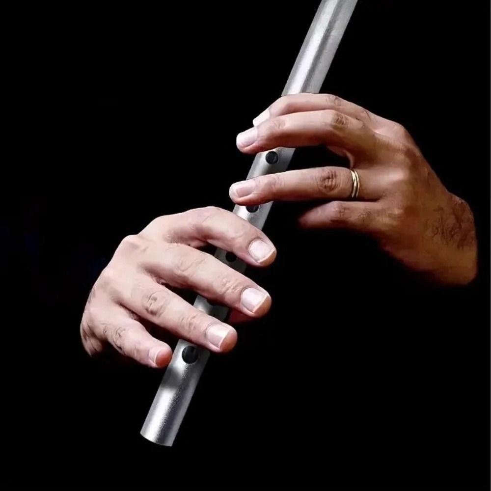 Rich Tone Irish Whistle Flute 6 Holes Irish Tin Whistle Musical Instruments  for Beginners